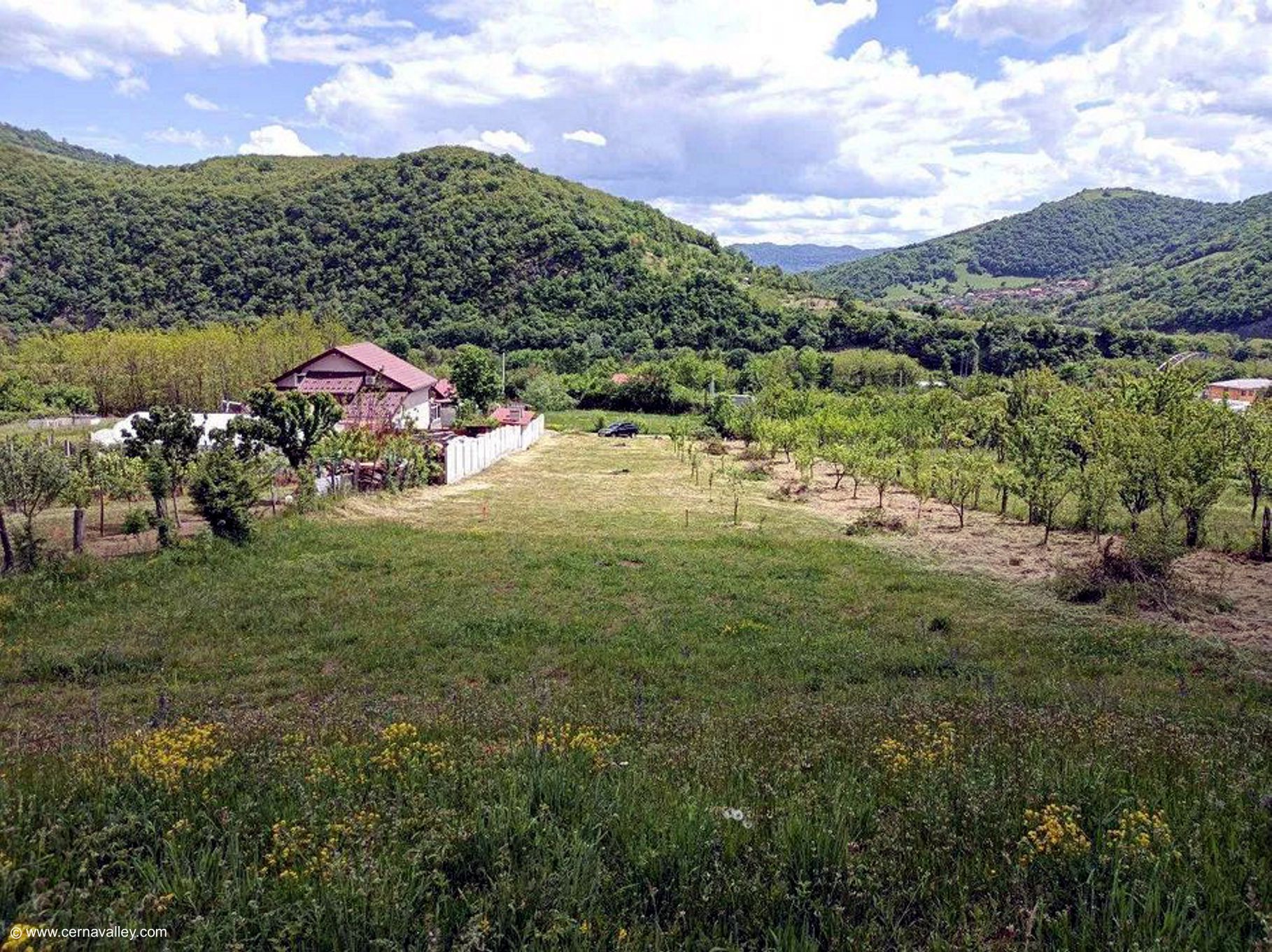orsova 11 Euro